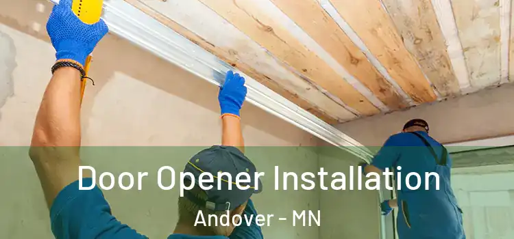  Door Opener Installation Andover - MN