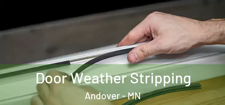 Door Weather Stripping Andover - MN