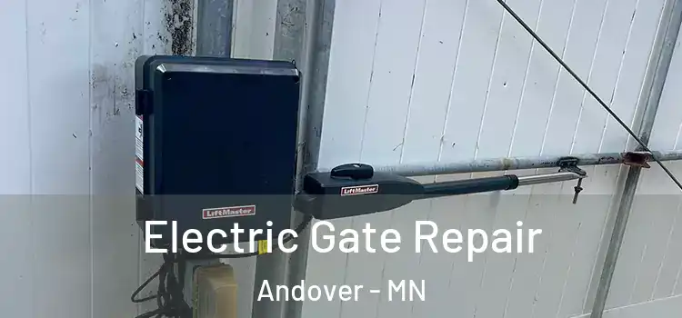  Electric Gate Repair Andover - MN