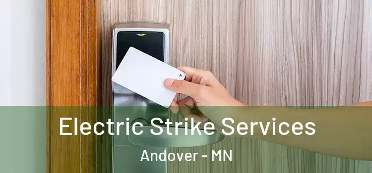  Electric Strike Services Andover - MN