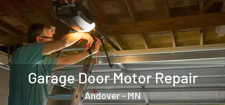  Garage Door Motor Repair Andover - MN