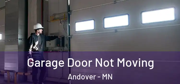  Garage Door Not Moving Andover - MN