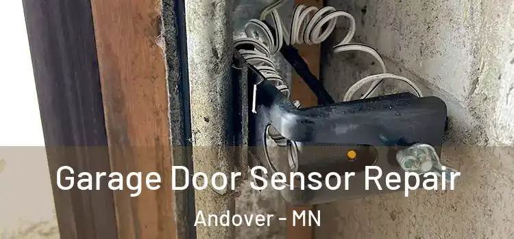 Garage Door Sensor Repair Andover - MN