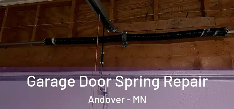  Garage Door Spring Repair Andover - MN