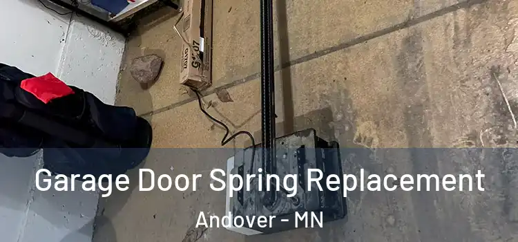  Garage Door Spring Replacement Andover - MN