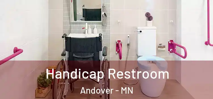  Handicap Restroom Andover - MN