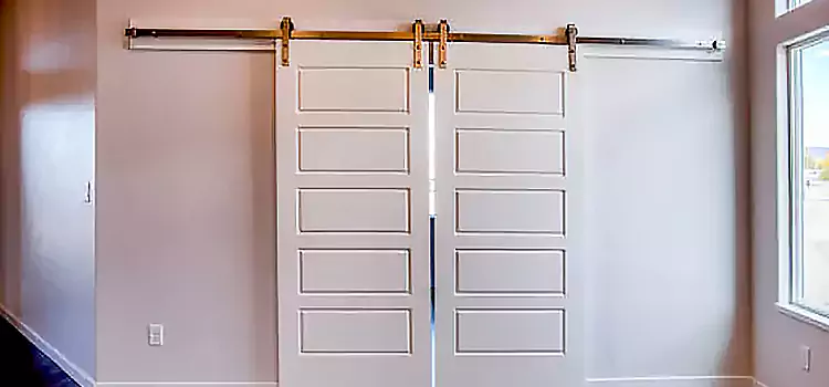 Glass Barn Door with Installation Hardware Kit Andover