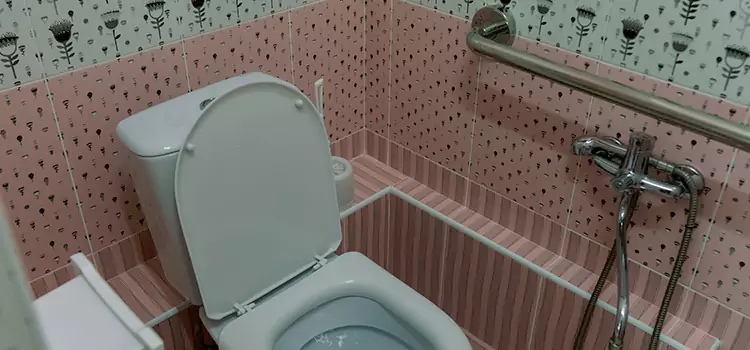 Meeting Diverse Needs With Accessible Restroom Solutions in Andover, MN