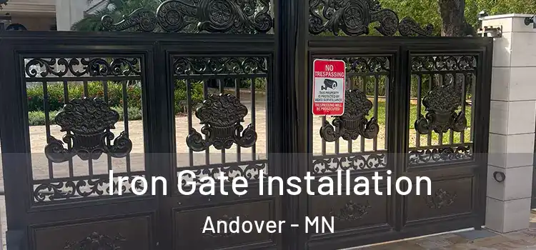  Iron Gate Installation Andover - MN