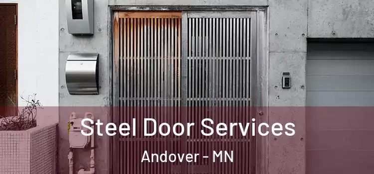 Steel Door Services Andover - MN